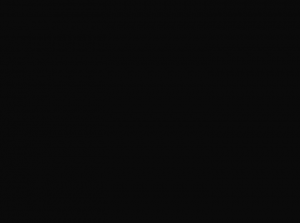 Глубокий черный (RAL 9005)